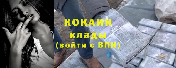 гидра Инсар