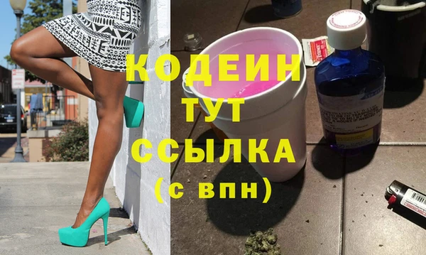 гидра Инсар