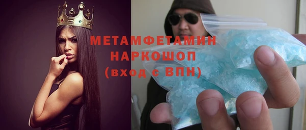 гидра Инсар