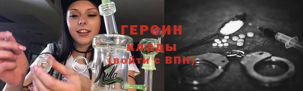 стаф Каменногорск