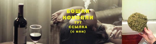 гидра Инсар
