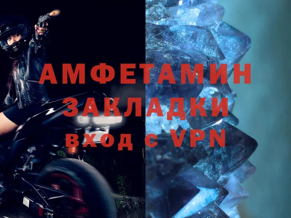 стаф Каменногорск