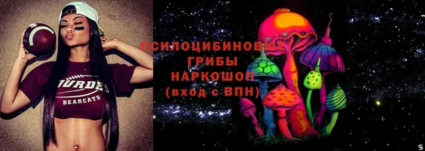 гидра Инсар