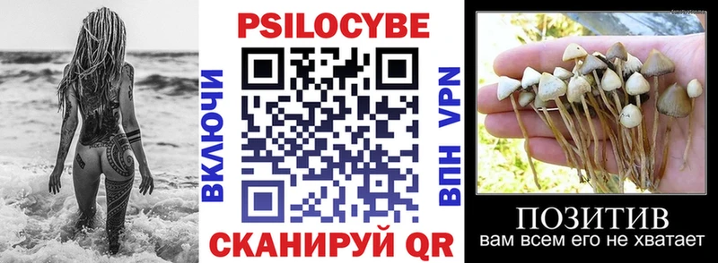 blacksprut рабочий сайт Краснозаводск Галлюциногенные грибы Psilocybe